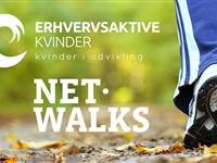 Net-walks