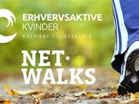 Net-walks